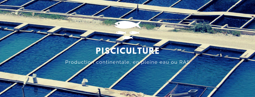 expertise aquaculture environnement innovation biologie marine recherche et développement judiciaire cour d'appel pisciculture conchyliculture algoculture