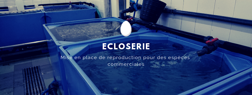 expertise aquaculture environnement innovation biologie marine recherche et développement judiciaire cour d'appel pisciculture conchyliculture algoculture
