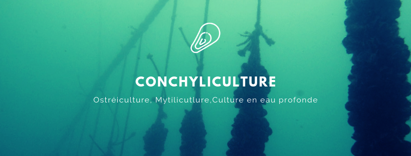 ancrage écologique expertise aquaculture environnement innovation biologie marine recherche et développement judiciaire cour d'appel pisciculture conchyliculture algoculture