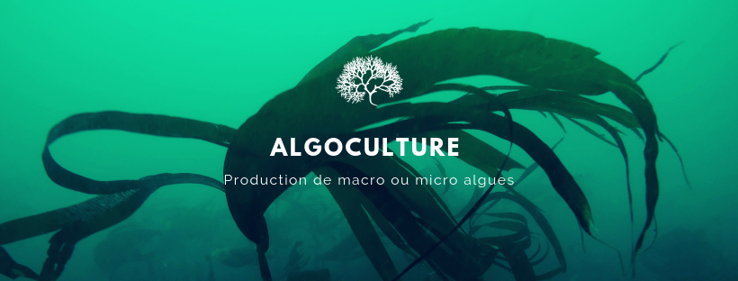 expertise aquaculture environnement innovation biologie marine recherche et développement judiciaire cour d'appel pisciculture conchyliculture algoculture