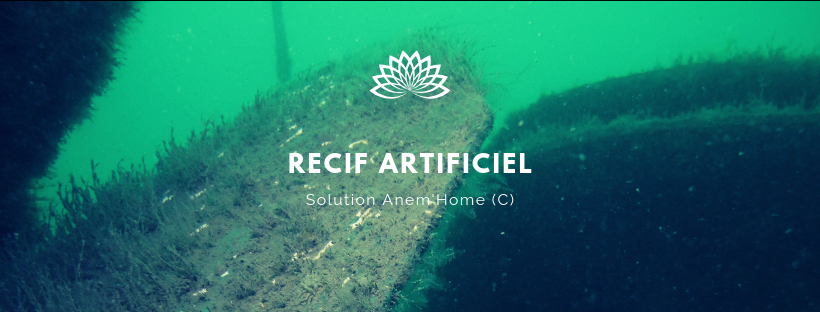 expertise aquaculture environnement innovation biologie marine recherche et développement judiciaire cour d'appel pisciculture conchyliculture algoculture