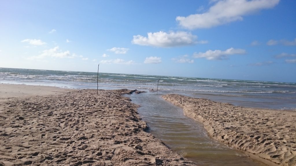 erosion expertise aquaculture environnement innovation biologie marine recherche et développement judiciaire cour d'appel pisciculture conchyliculture algoculture