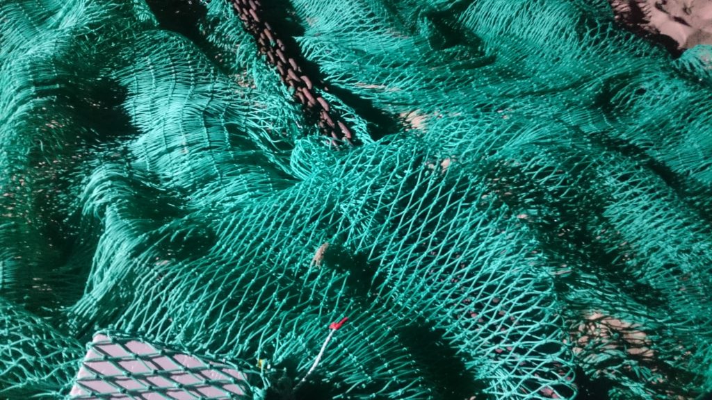 erosion expertise aquaculture environnement innovation biologie marine recherche et développement judiciaire cour d'appel pisciculture conchyliculture algoculture