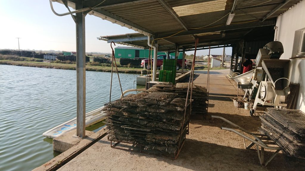 expertise aquaculture environnement innovation biologie marine recherche et développement judiciaire cour d'appel pisciculture conchyliculture algoculture