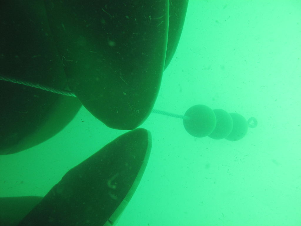 expertise aquaculture environnement innovation biologie marine recherche et développement judiciaire cour d'appel pisciculture conchyliculture algoculture