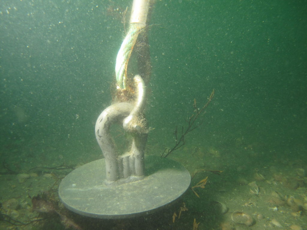expertise aquaculture environnement innovation biologie marine recherche et développement judiciaire cour d'appel pisciculture conchyliculture algoculture