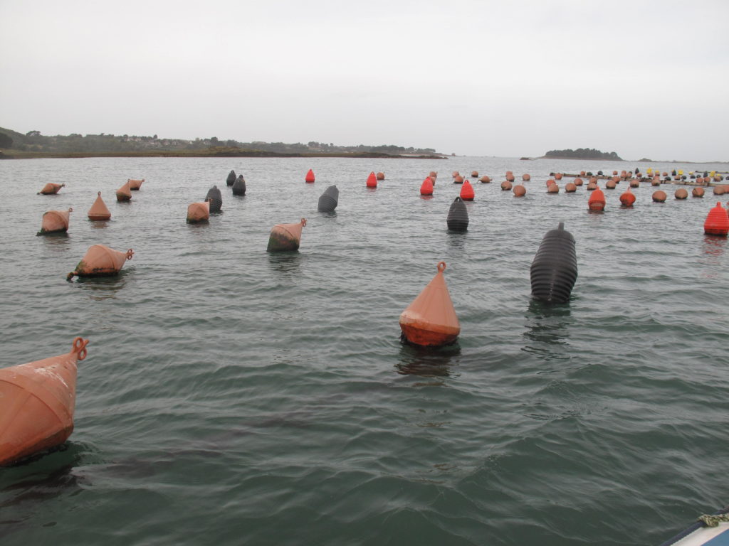 expertise aquaculture environnement innovation biologie marine recherche et développement judiciaire cour d'appel pisciculture conchyliculture algoculture