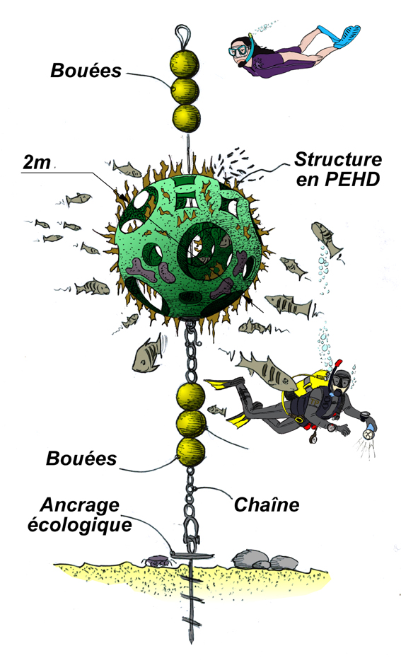 expertise aquaculture environnement innovation biologie marine recherche et développement judiciaire cour d'appel pisciculture conchyliculture algoculture