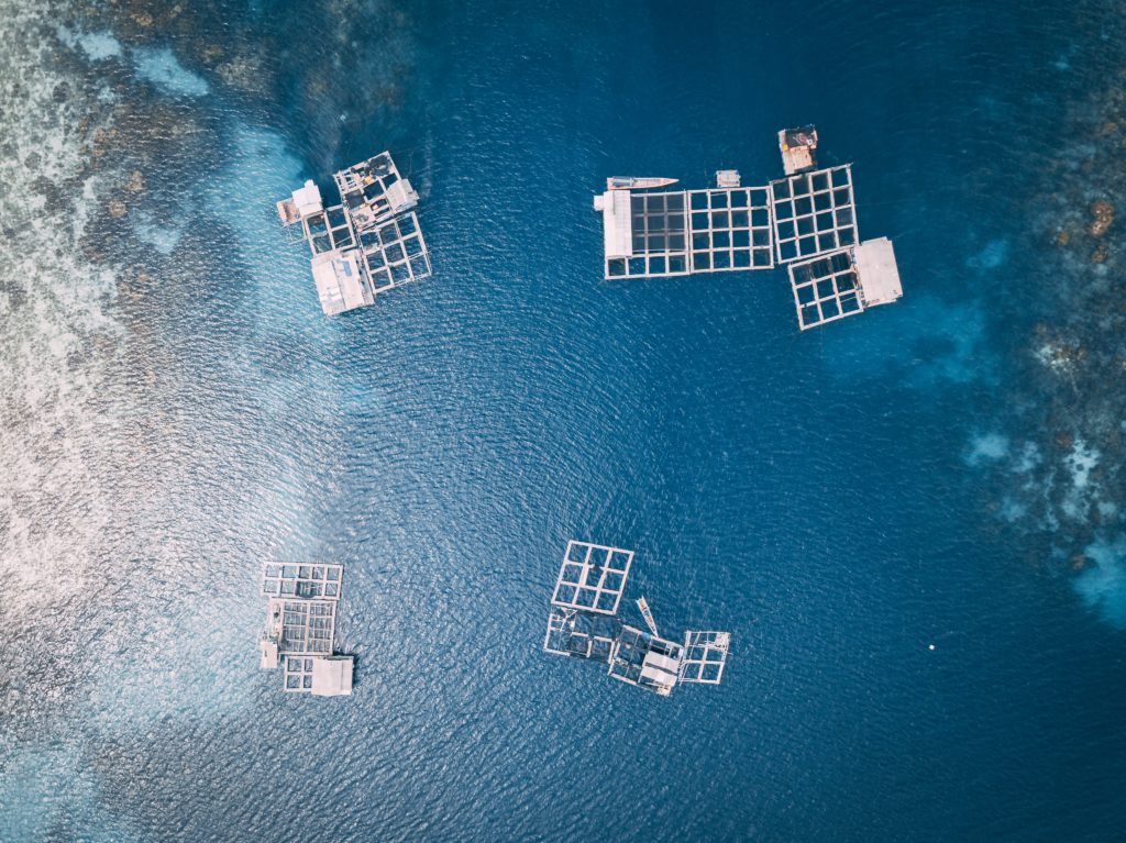 expertise aquaculture environnement innovation biologie marine recherche et développement judiciaire cour d'appel pisciculture conchyliculture algoculture