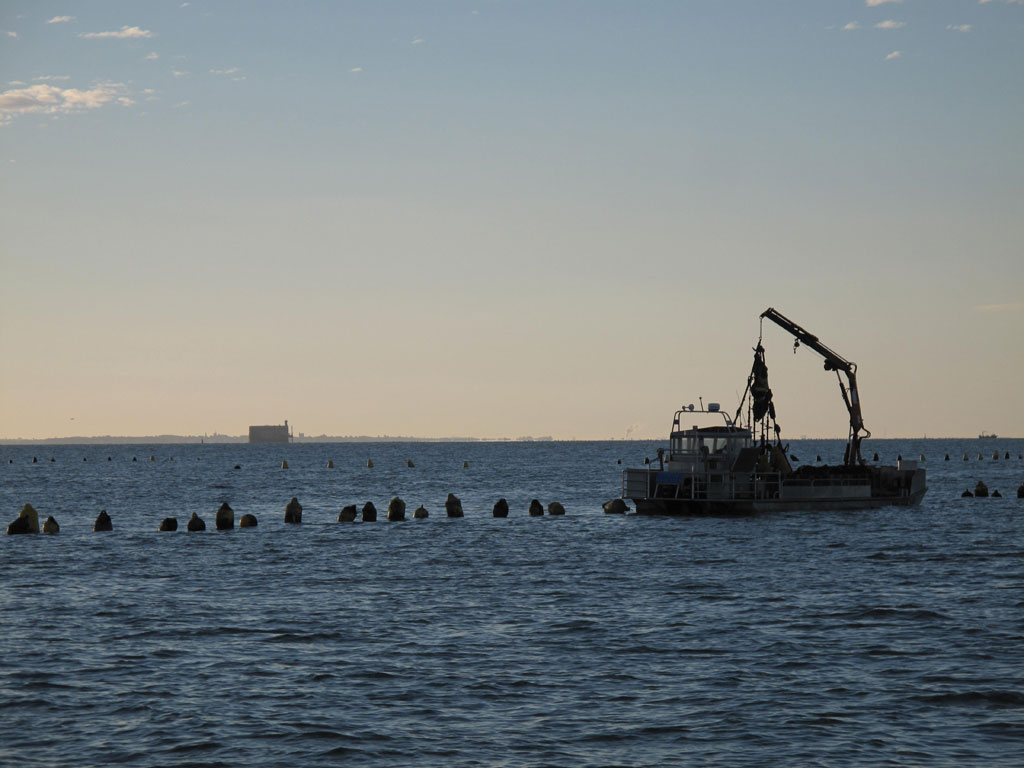 expertise aquaculture environnement innovation biologie marine recherche et développement judiciaire cour d'appel pisciculture conchyliculture algoculture