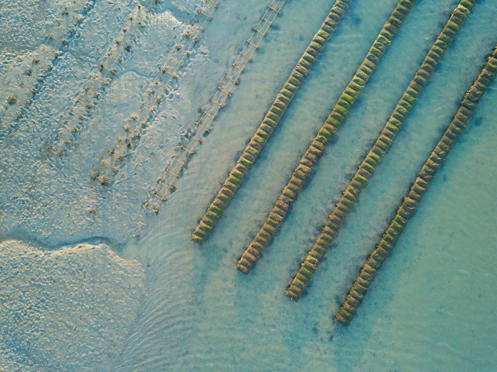 expertise aquaculture environnement innovation biologie marine recherche et développement judiciaire cour d'appel pisciculture conchyliculture algoculture