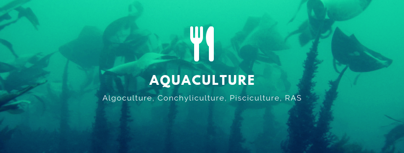 ancrage écologique expertise aquaculture environnement innovation biologie marine recherche et développement judiciaire cour d'appel pisciculture conchyliculture algoculture